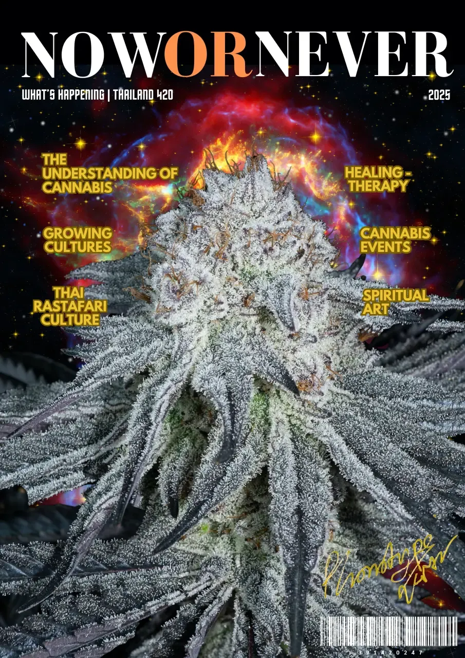 Now or Never Magazine Cover